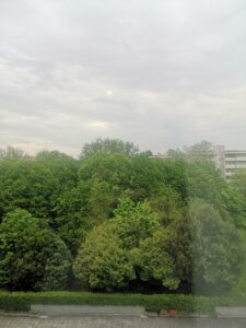 IMG_20210427_160343.jpg