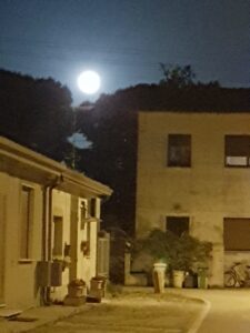 20210526_221131.jpg