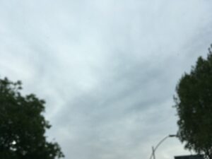 A59A96A3-1413-4652-BC38-7E7215459F07.jpeg