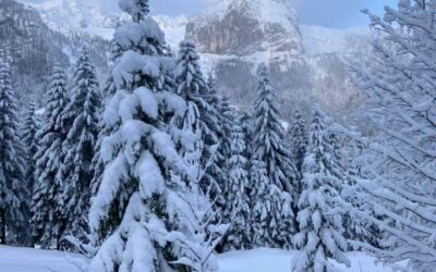 Il paesaggio a Sella Nevea…