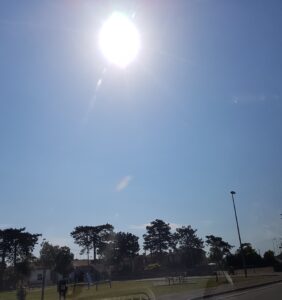 20210605_095238.jpg