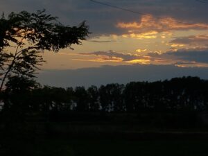 20210605_204029.jpg