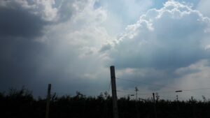 20210608_152342.jpg