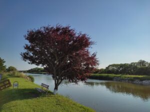 IMG_20210603_183005.jpg