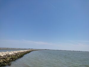 IMG_20210604_125752.jpg