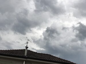 0D63A0F9-FB76-463B-80FF-399682A3E220.jpeg