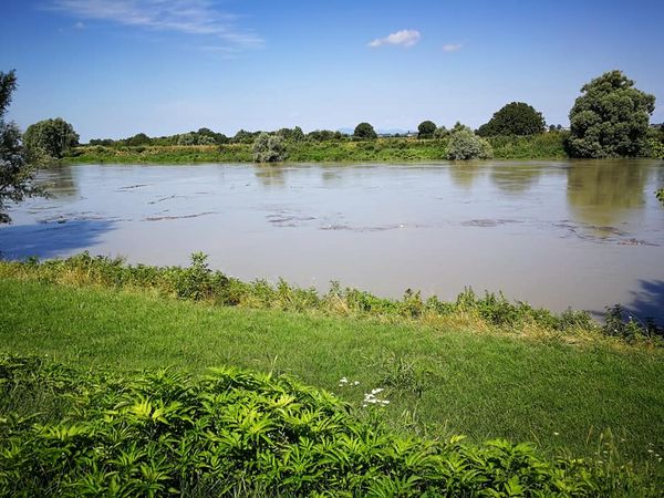 Qualche foto e video della piena dell’Adige dei nostri followers