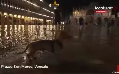 LIVE Venezia, rara acqua alta d’agosto. Il Mose non è in funzione: diretta video