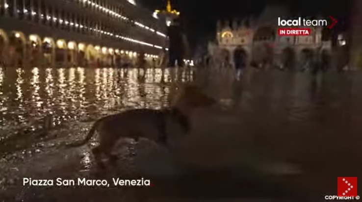 LIVE Venezia, rara acqua alta d’agosto. Il Mose non è in funzione: diretta video