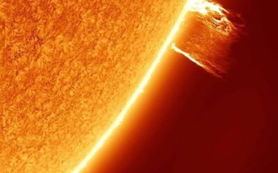 Come affrontare il caldo