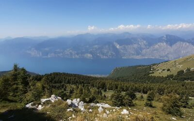 STATO DI SALUTE DEI LAGHI ITALIANI,MARI E CORSI D ACQUA