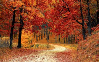 22 Settembre 2021 ore 20.21: inizia l’autunno