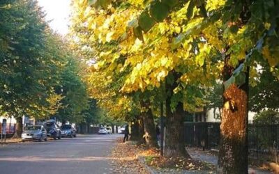 1 Settembre: inizio dell’autunno meteorologico
