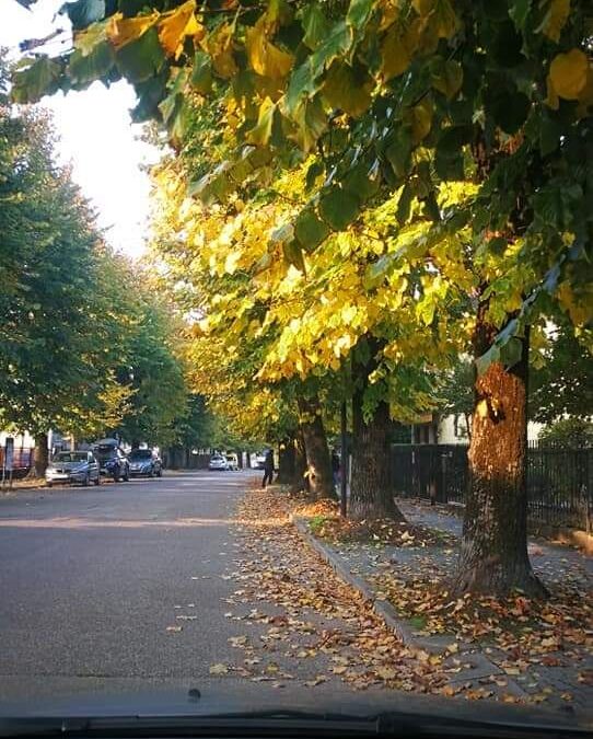 1 Settembre: inizio dell’autunno meteorologico