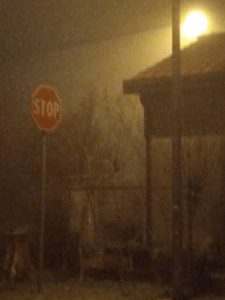 IMG_20211226_224046_1.jpg