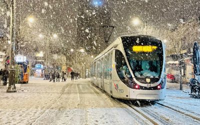 NEVE ARRIVATA ANCHE IN ISRAELE