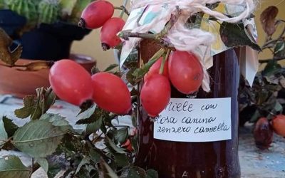 VIDEO CORSI DI AUTOPRODUZIONE NATURALE