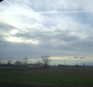 IMG_20220105_100511.jpg