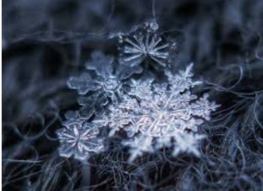 FIOCCHI DI NEVE,CONOSCIAMOLI