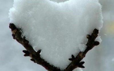 NEVE,PURIFICATRICE E PROTETTRICE