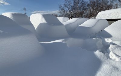 NEVICATE RECORD IN GIAPPONE (SAPPORO-HOKKAIDO)