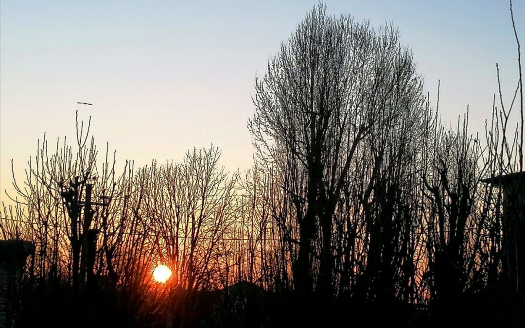 1 Marzo: inizio della primavera meteorologica