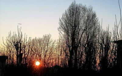 1 Marzo: inizio della primavera meteorologica