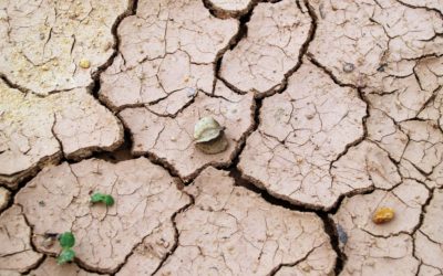 STATO DI EMERGENZA PER SICCITÀ IN VENETO