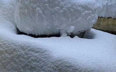 NEVICATE SUPER ABBONDANTI SULL’ APPENNINO ROMAGNOLO