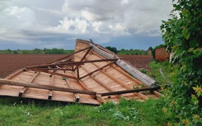02/05/24 Tromba d’aria in Basso Veneto